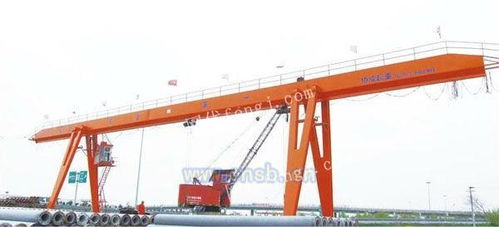 安徽合肥起重機(jī)廠家電動葫蘆門行車